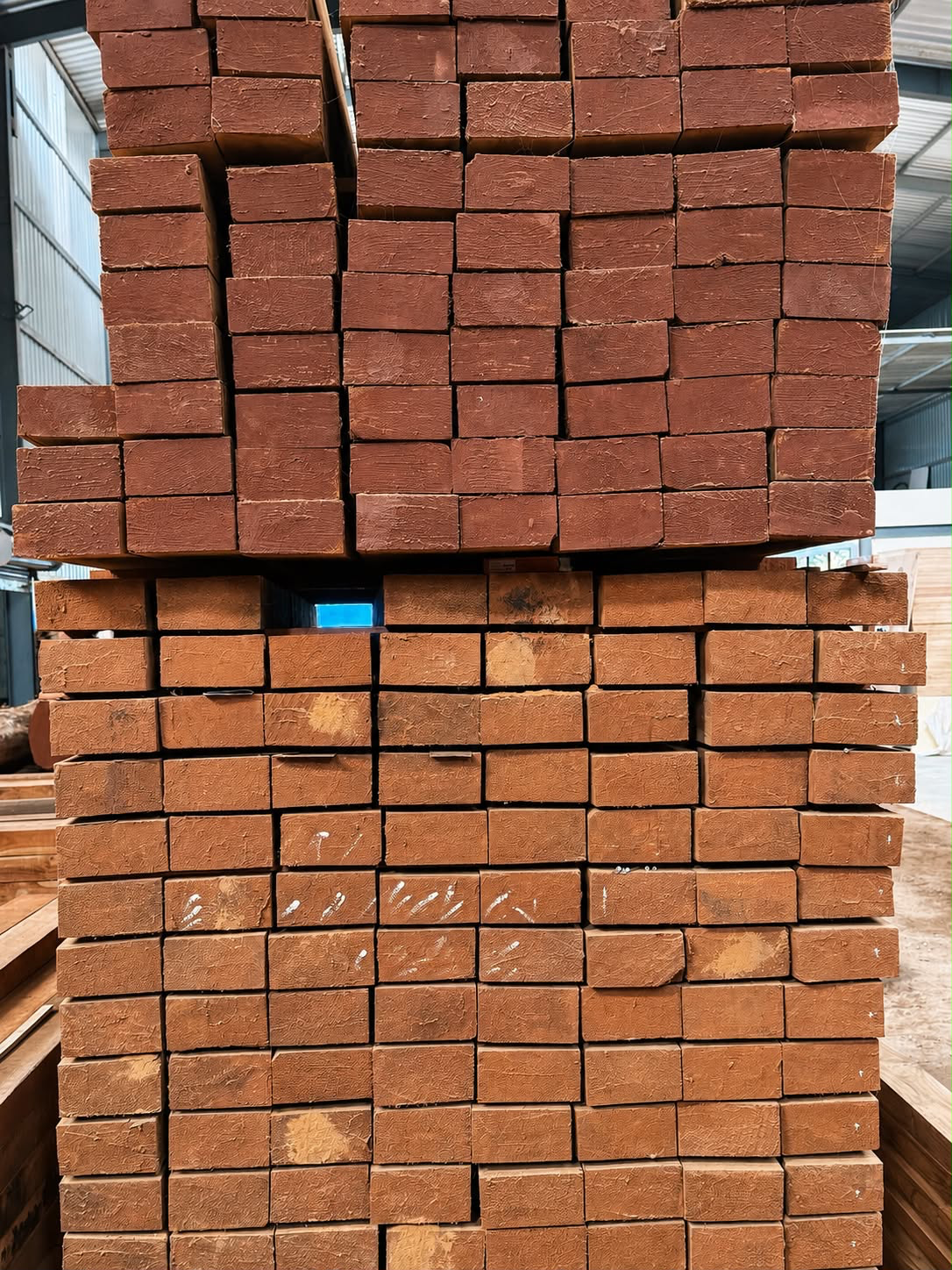 Teak Wood